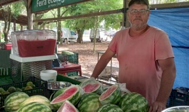 Produção de frutas no RS garante alimentos leves e nutritivos no verão
