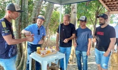 Expodireto Cotrijal: destaque para a importância das abelhas na produção de alimentos no espaço da Emater/RS-Ascar