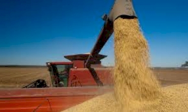 O Brasil se prepara para colher uma supersafra recorde de grãos, estimada em 328,3 milhões de toneladas