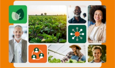 Relatório de Sustentabilidade da Cresol destaca atuação em 15 ODS da ONU