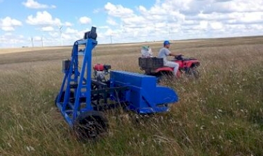 Bioma Pampa possibilita integrar produção pecuária e  conservação ambiental