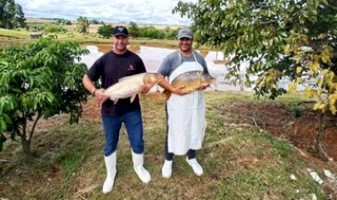 Emater/RS-Ascar estima venda de mais de 2,5 mil toneladas de pescado na Semana Santa no RS