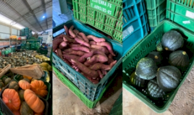 Fomento à Agroecologia em Entre Rios do Sul: Visita técnica reforça alternativas sustentáveis para a agricultura familiar