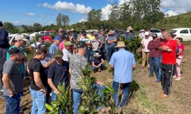 Itatiba do Sul celebra abertura da colheita da laranja com Dia de Fomento à Citricultura