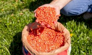 Atenção, produtores rurais de Getúlio Vargas