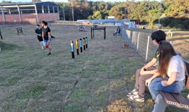 Parque Pet contou com a visitação de centenas de pessoas e animais