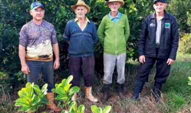 Viadutos celebra a tradição e o futuro da erva-mate na Festa da Colheita