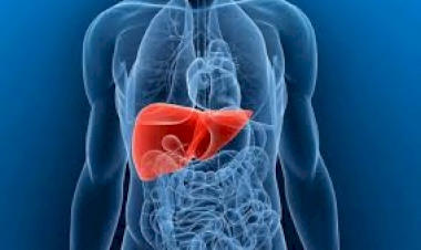 Conheça seis alterações na pele que podem ser um alerta sobre gordura no fígado