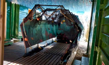 É hoje! Museu Oceanográfico do Rio Grande sedia mostra nacional ‘Maré de Mudanças - Década dos Oceanos’