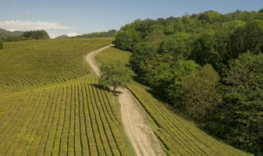 Nota de Posicionamento Fecomércio-RS