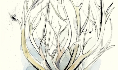 Livro inédito Pablo Neruda.  Dica de leitura da semana.