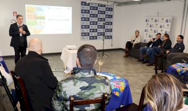 Canola é destaque da safra de inverno no RS