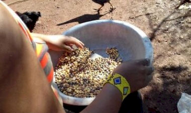 PAA Indígena está com as inscrições abertas no RS