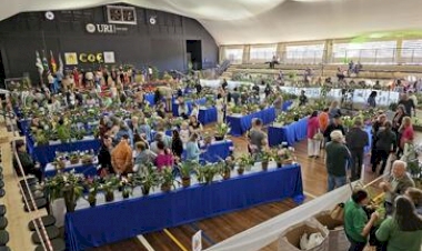 Segunda Exposição e Feira de Orquídeas será realizada neste fim de semana na URI Erechim