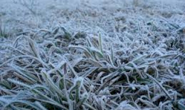 Saiba como será o inverno no Rio Grande do Sul