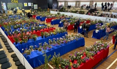 Orquidófilos se reúnem em Erechim na 2ª Exposição de Orquídeas