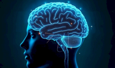 ELA: entenda os sinais da doença que paralisa o corpo aos poucos