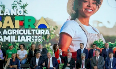 Plano Safra 25/26 prevê R$ 89 bilhões para agricultura familiar
