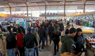 Expointer 2025 terá o maior número de expositores da história no Pavilhão da Agricultura Familiar