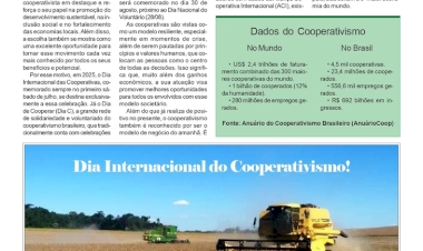 Especial - A ONU declarou 2025 como o Ano Internacional das Cooperativas