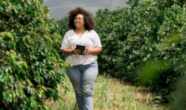 Sicredi disponibiliza R$ 68 bilhões no Plano Safra 2025/2026