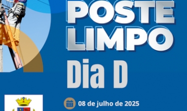 Getúlio Vargas realiza mais um Dia D do  Projeto Poste Limpo nesta terça-feira