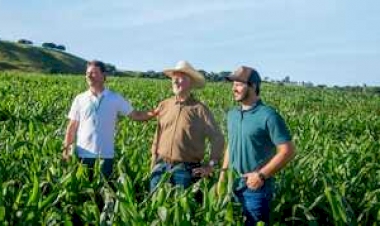 Sicredi projeta novo ciclo de crescimento no agronegócio com Plano Safra 2025/202