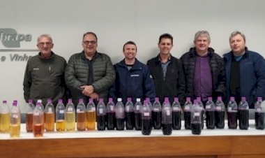 Agricultura familiar é destaque em Concurso do Vinho Artesanal em Bento Gonçalves