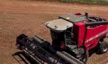 Ipiranga do Sul sedia evento técnico com foco em inovação e sustentabilidade na produção de soja