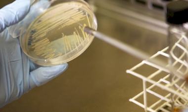 Seminário da Embrapa discute insumos biológicos na agricultura