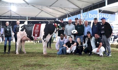 Associados da Santa Clara levam mais de 90 animais para a Expointer 2025 