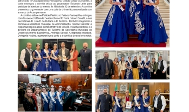 Social, por Anissara Zir. Edição 29/8/2025.