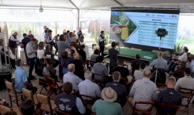 Expointer 2025: Emater/RS-Ascar projeta aumento na produção de soja e milho no RS