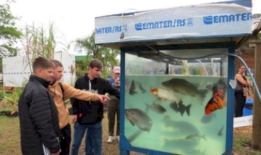 Expointer 2025: Emater/RS-Ascar ensina como ter sucesso na criação de peixes