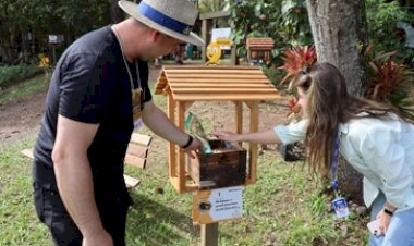 Expointer 2025: Caminhos do Mel integra abelhas com e sem ferrão com foco na sustentabilidade