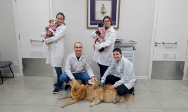 Ensino Medicina Veterinária da URI inicia projeto com cães terapeutas no Santa Terezinha