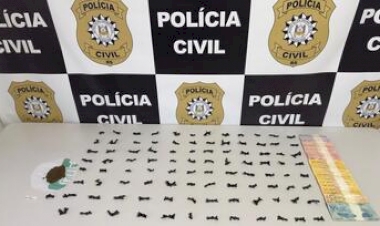 POLÍCIA CIVIL PRENDE UM HOMEM E UMA MULHER EM FLAGRANTE, PELA PRÁTICA DE TRÁFICO DE ENTORPECENTES