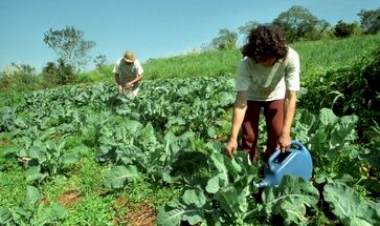 Dia Nacional da Agroecologia reforça importância do setor na agricultura familiar