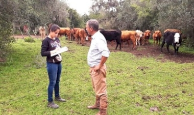 Primavera é o momento ideal para realizar o manejo estratégico e proteger o rebanho dos parasitas