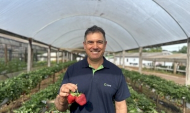 Energia trifásica e internet fibra óptica impulsionam a Granja Bonini em Pejuçara