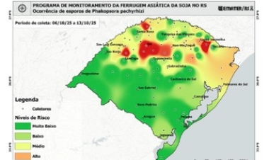 Ipiranga do Sul segue sem detecção de ferrugem asiática da soja, aponta monitoramento da Emater/RS-Ascar