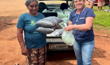 Indígenas de Charrua recebem alimentos via PAA