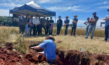 Dia de campo em Jacutinga apresenta variedades de trigo