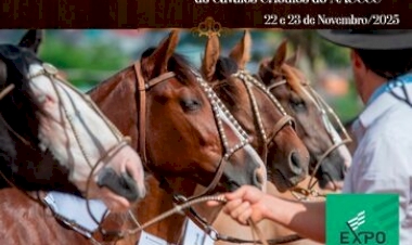 Cavalo Crioulo será destaque na Expo Erechim 2025 com provas e exposição morfológica promovidas pelo NAUCCC