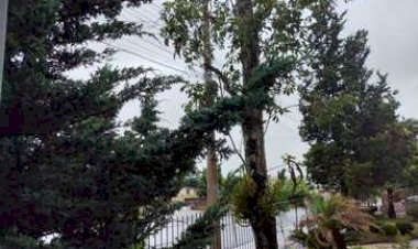 Ciclone deve causar ventos intensos em parte do Rio Grande do Sul nesta quarta-feira.