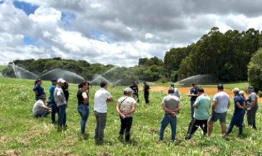 Dia de Campo destaca benefícios da irrigação na produção de leite em Faxinalzinho