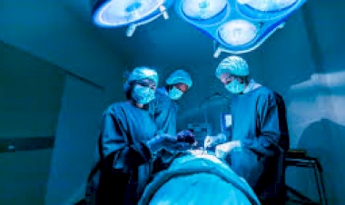 Rio Grande do Sul registra em 2025 o maior número de transplantes de órgãos dos últimos quatro anos