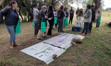 Controle do carrapato é um desafio para a pecuária gaúcha