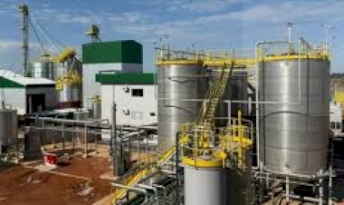 Etanol de trigo: Santiago inaugura um marco para o futuro energético do Brasil