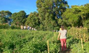Tarde de Campo sobre Cultura do Tomate reúne agricultores em Getúlio Vargas